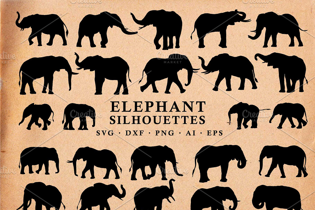 Elephant Silhouettes in Vector, an Animal Illustration by Seaquint (Photo 1 of 3)