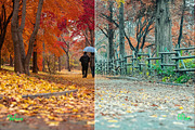 Autumn Photoshop Actions 110 Bundle, an Action Add-On by ARTNEST (Thumbnail 11 of 11)