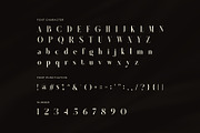 Felina Elegant Serif Font, a Serif Font by Graphicxell (Thumbnail 7 of 8)