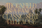 Thornfield - Classy Serif Typeface, a Serif Font by HipFonts (Thumbnail 8 of 10)