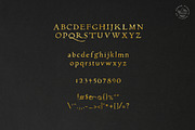Alchemion - Display Serif Font, a Serif Font by Nomad Visuals (Thumbnail 3 of 9)