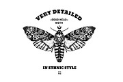 Textured moth in ethnic style, a Texture Illustration by AnastasiaFears (Thumbnail 1 of 3)