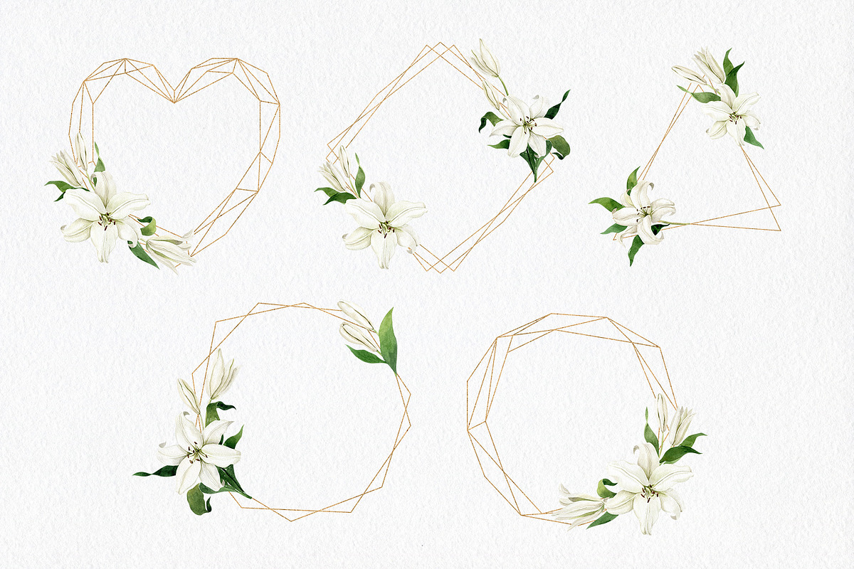 White Lilies Watercolor Set, an Illustration by Natalia Fedorova (Photo 5 of 12)