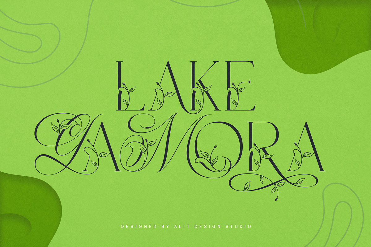 Narony Natural Typeface, a Sans Serif Font by alit design (Photo 2 of 20)