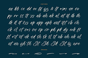 The Newyork Bold Handwritten Font, a Script Font by stylishtype.co (Thumbnail 19 of 20)