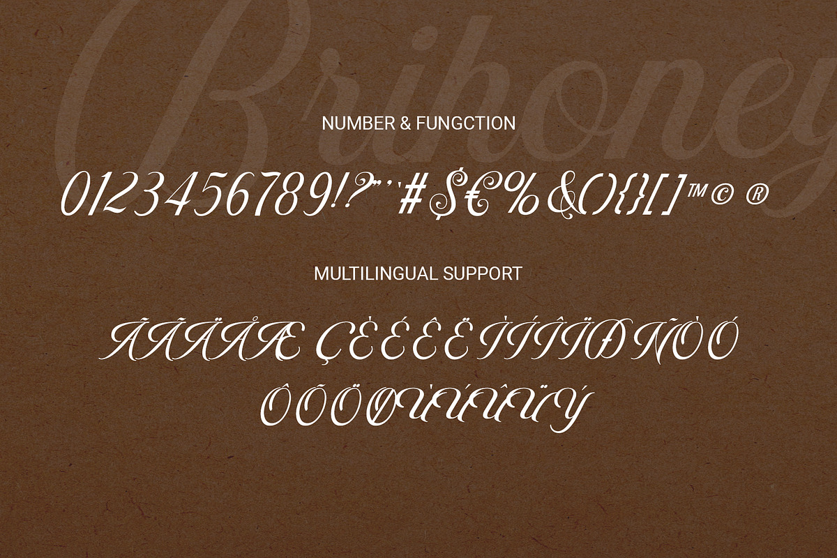 Brihoney - Modern Script Font, a Script Font by RHD Creative Studio (Photo 10 of 11)