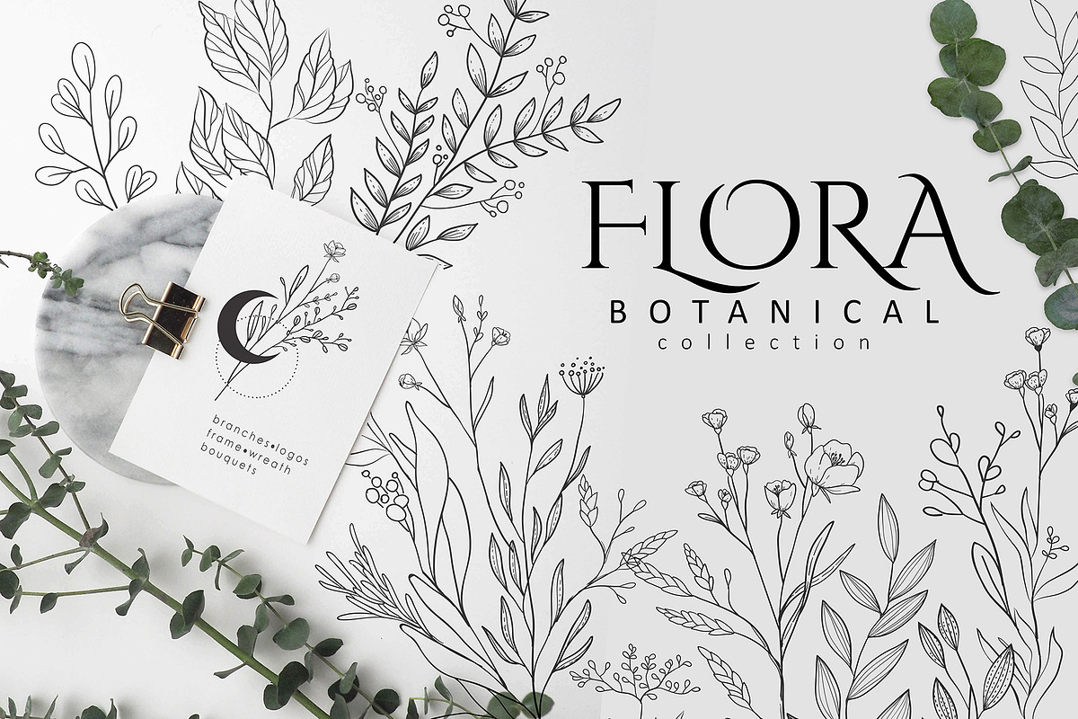 Flora. Botanical collection, an Illustration by Merfin (Photo 1 of 8)