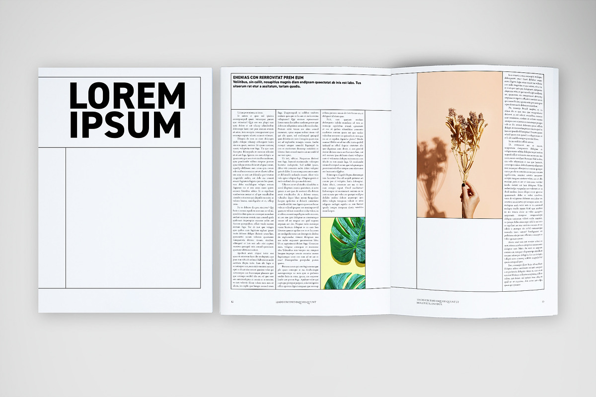 Modular Grid Magazine Layout preview 5