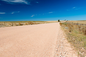 Country Road, a Nature Photo by THP Creative