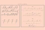 Maxleon, a Script Font by danti (Thumbnail 7 of 7)