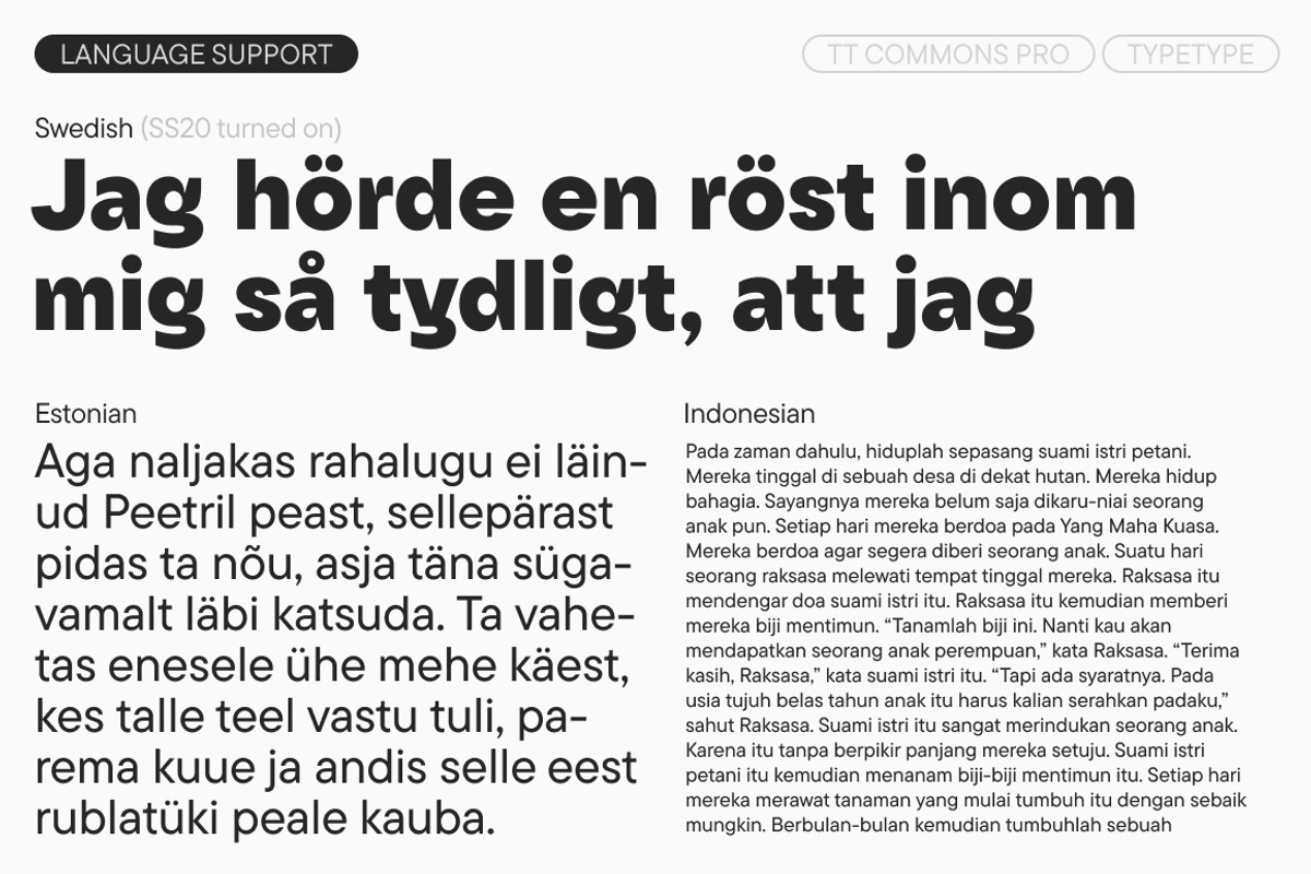 TT Commons Pro Basic, a Sans Serif Font by TypeType (Photo 8 of 15)