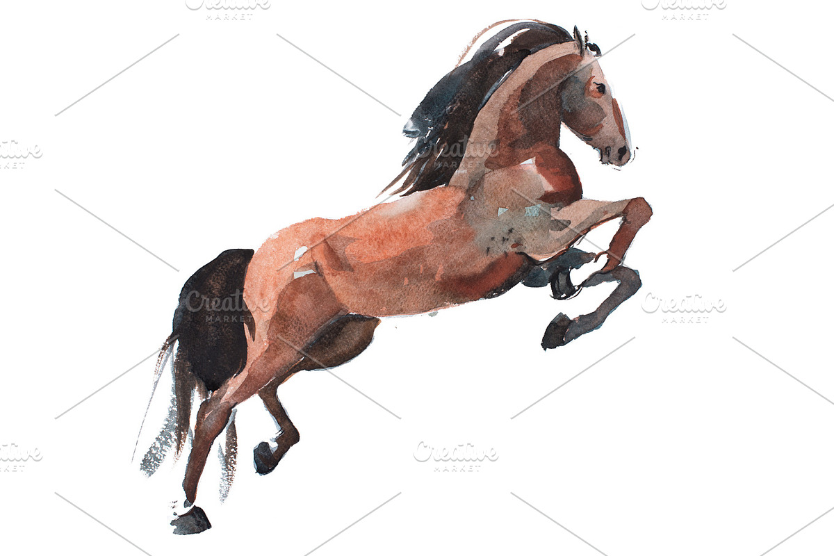 watercolor painting of rearing up horse, brown mustang getting on legs aquarelle drawing, an Illustration by undrey