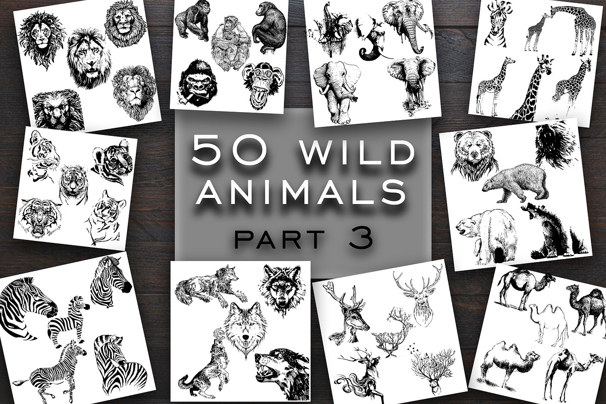 BUNDLE WILD ANIMALS VECTOR, an Animal Illustration by AnastasiyaOleynik (Photo 4 of 20)
