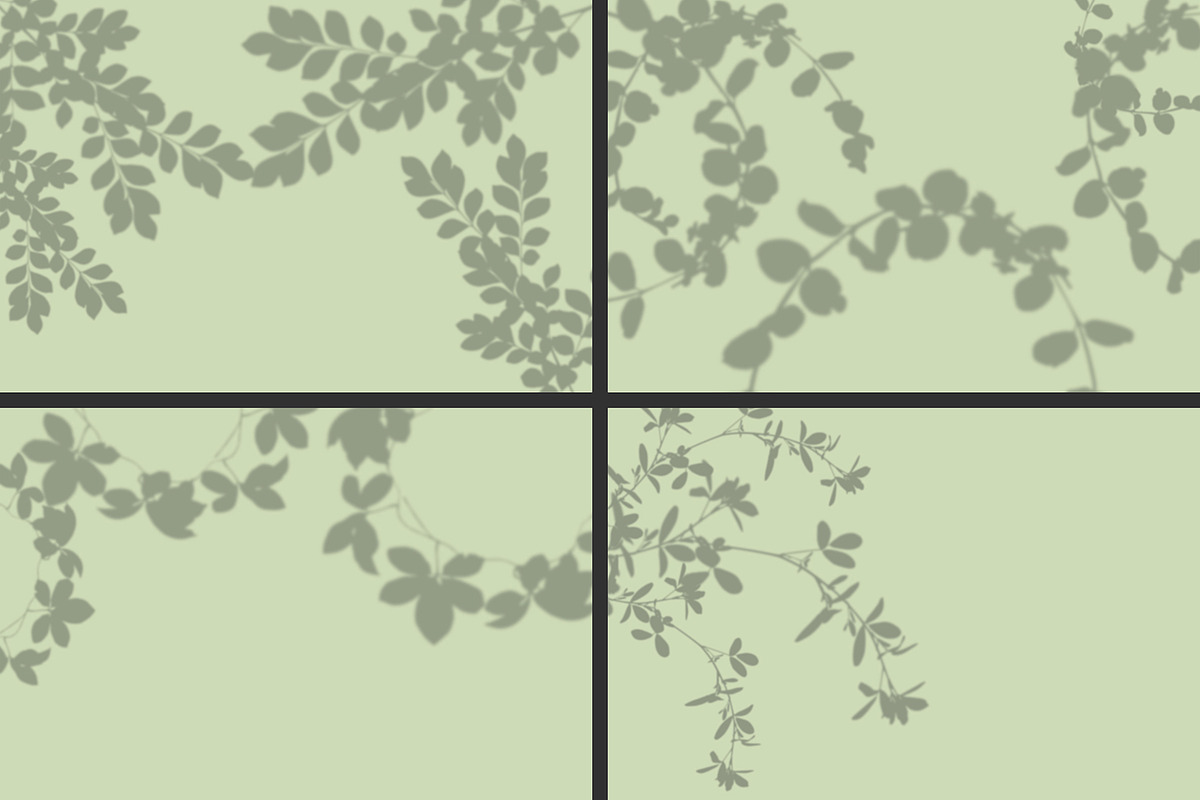 50 plants shadows, a Mockup by AnastasiyaOleynik (Photo 13 of 14)