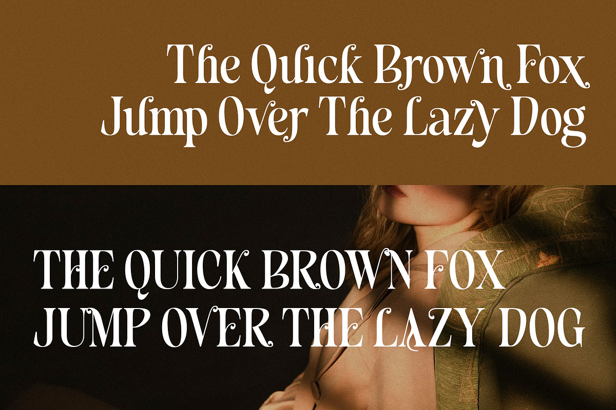 Blenisa Modern Beautiful Font, a Serif Font by RantautypeStudio (Photo 16 of 17)