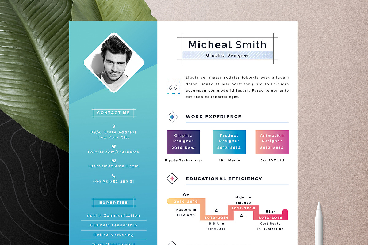 Modern Resume Cv Template, a Resume Template by Tbunny (Photo 5 of 6)