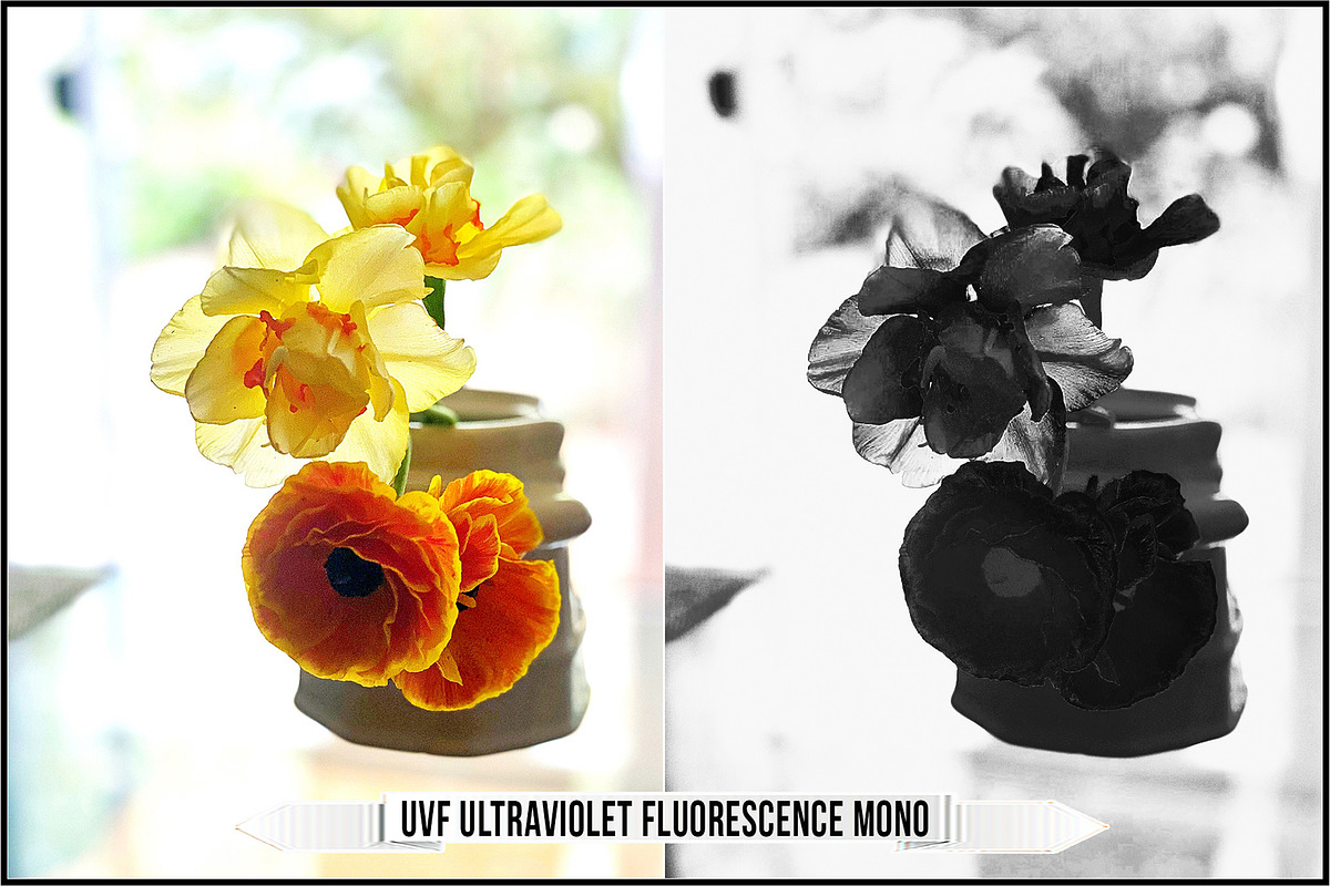Infrared & Ultraviolet Monochrome v3, a Plug-in Add-On by Raztrend (Photo 22 of 30)