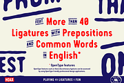 Hoax – A pre-worn typeface, a Sans Serif Font by More Etc. Studios (Thumbnail 3 of 19)