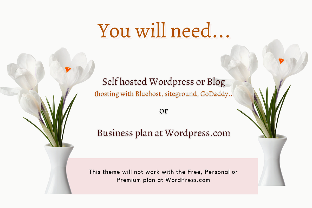 Life Coach theme wordpress, a WordPress Template by Millennials Marketing (Photo 9 of 10)