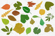 Leaves Photoshop Stamp Brushes, a Brush Add-On by ArtistMef (Thumbnail 3 of 7)