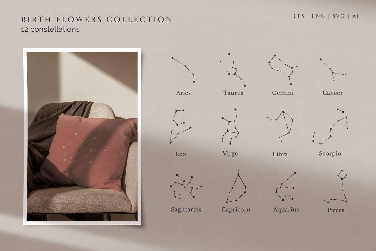 Hand drawn Birth Month Flowers, an Illustration by KirillsWorkshop (Photo 10 of 12)