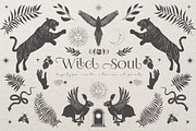 Wild Soul logo & insta stories, an Animal Illustration by Mio Buono (Thumbnail 1 of 14)