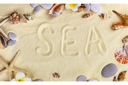 Background with seashells on the, a Holiday Photo by yanadjana