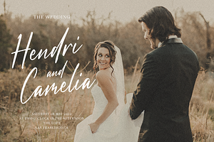 Dandelion Fall - Script Font