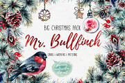 Mr.Bullfinch Watercolor ClipArt Xmas, a Decorative Illustration by Inna Sinano (Thumbnail 1 of 12)