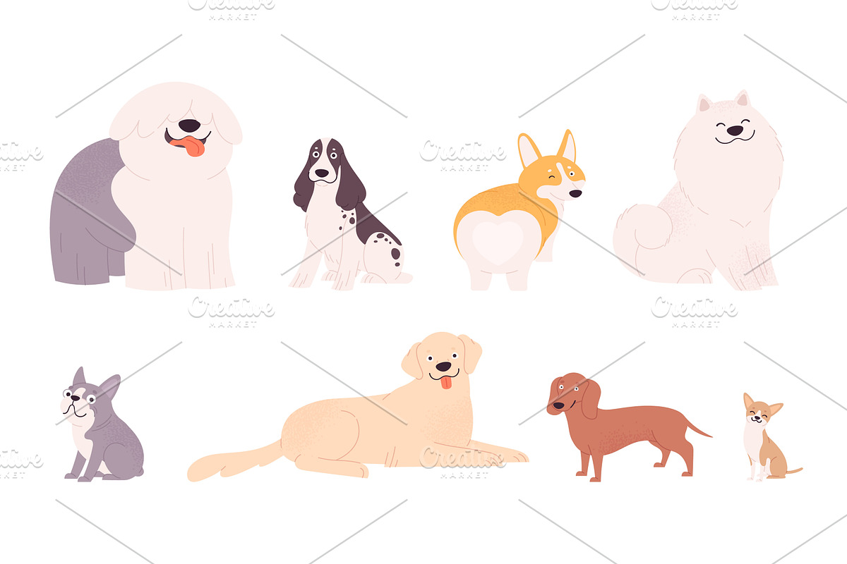 Cartoon dog characters. Different, an Animal Illustration by LadadikArt