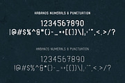 Habanos Retro Font, a Font by Graphicdome (Thumbnail 15 of 15)