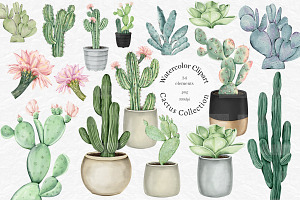 Watercolor Cactus PNG Clipart Set