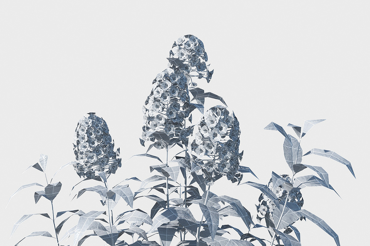 Phlox, an Environmental 3D Model by happy brush (Photo 6 of 6)