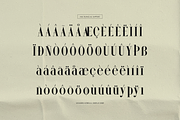 Wonder Astrella Modern Display Serif, a Serif Font by gracetype_studio (Thumbnail 12 of 12)