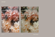 Chill Film: Lightroom Presets, a Preset Add-On by SHOOM HOUSE (Thumbnail 6 of 10)
