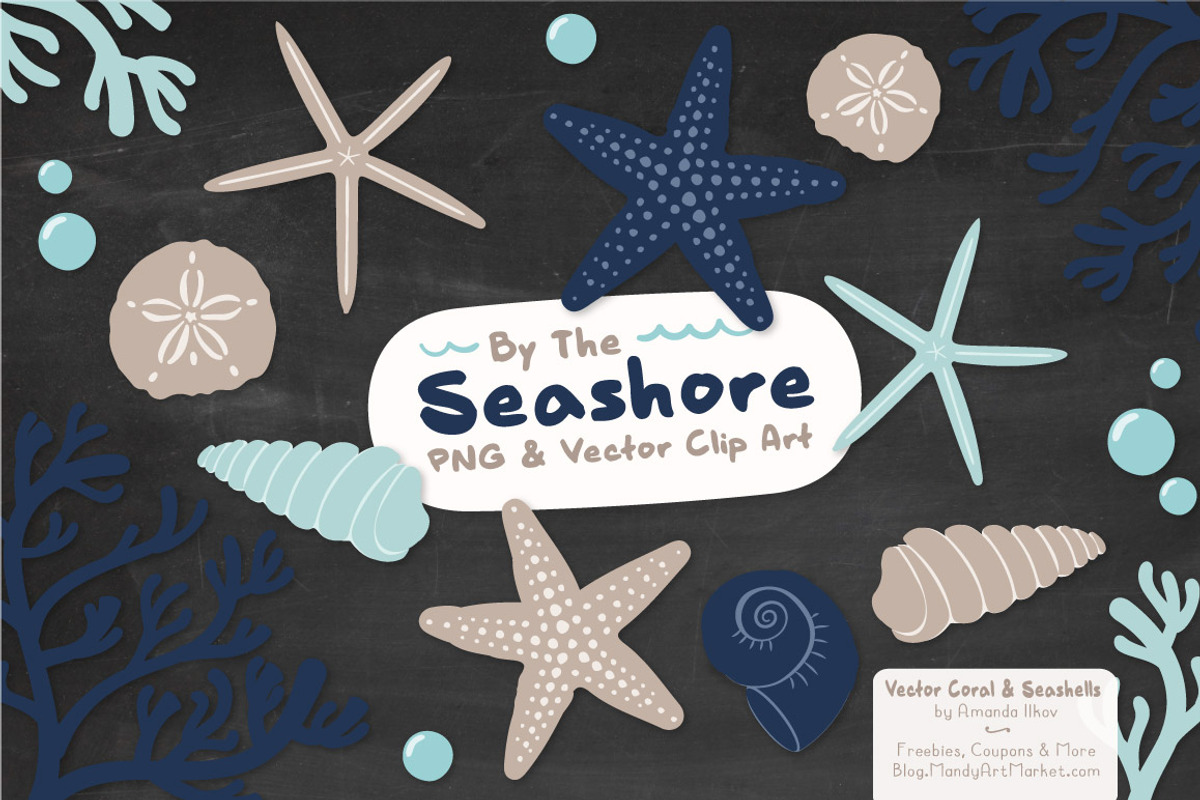 Navy Vector Seashells, an Illustration by Amanda Ilkov (Photo 3 of 5)