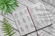 Big Pack Scene Generator, a Cups & Container Mockup by Mila (Thumbnail 38 of 44)