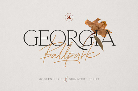 Georgia Ballpark - FONT DUO, a Serif Font by Sarid Ezra