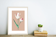 Botanical Poster Bundle, an Illustration by KreyaParekh (Thumbnail 4 of 12)