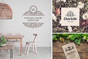 BUNDLE 100 Template Logos & Elements, a Branding & Logo Template by Decorus Extezy (Thumbnail 4 of 16)