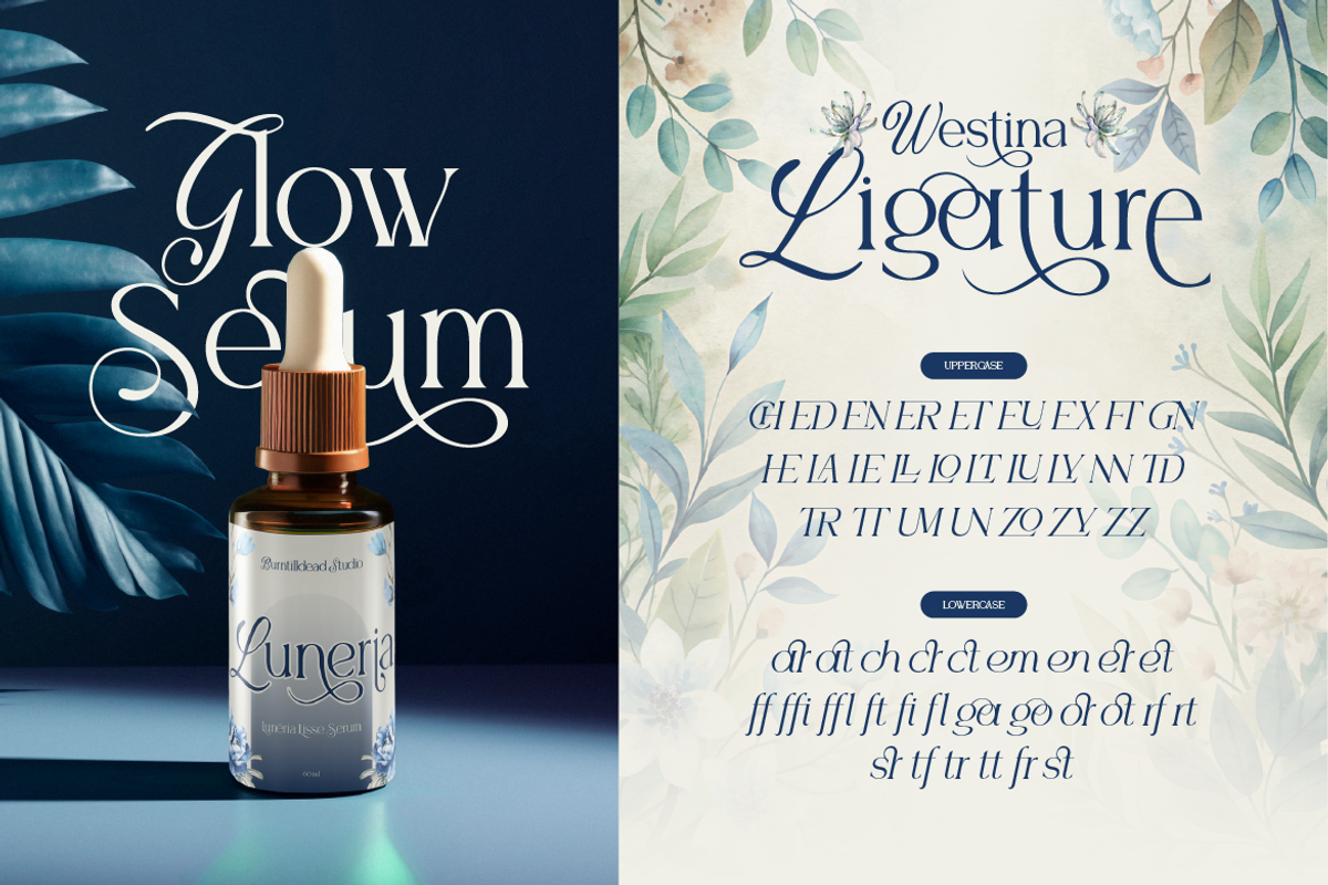 Westina, a Serif Font by Burntilldead (Photo 10 of 12)