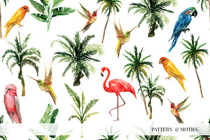 ANIMAL KINGDOM & Animals Patterns