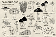 Mushrooms Line Art + Procreate, an Illustration by Skliarova (Thumbnail 2 of 4)