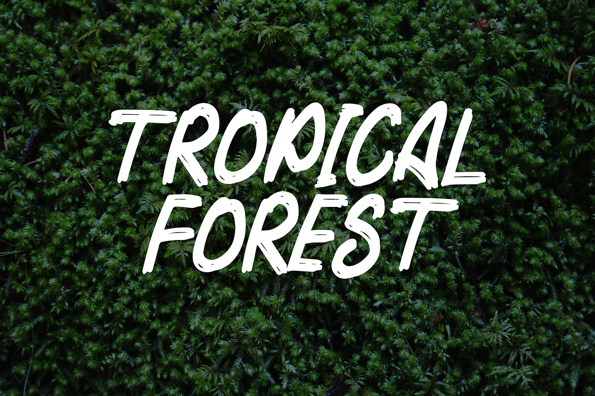 RAGAM GARIS - Brush Font, a Script Font by NTC Graphic (Photo 2 of 9)