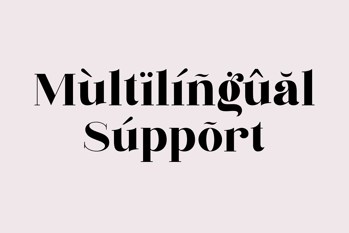 Nergisha, a Serif Font by Sealoung (Photo 5 of 15)
