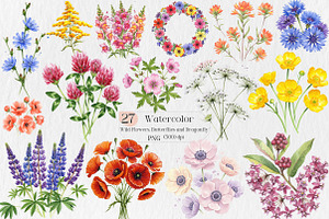 Wild Flowers, Butterflies and Dragon, an Illustration by Creative Art