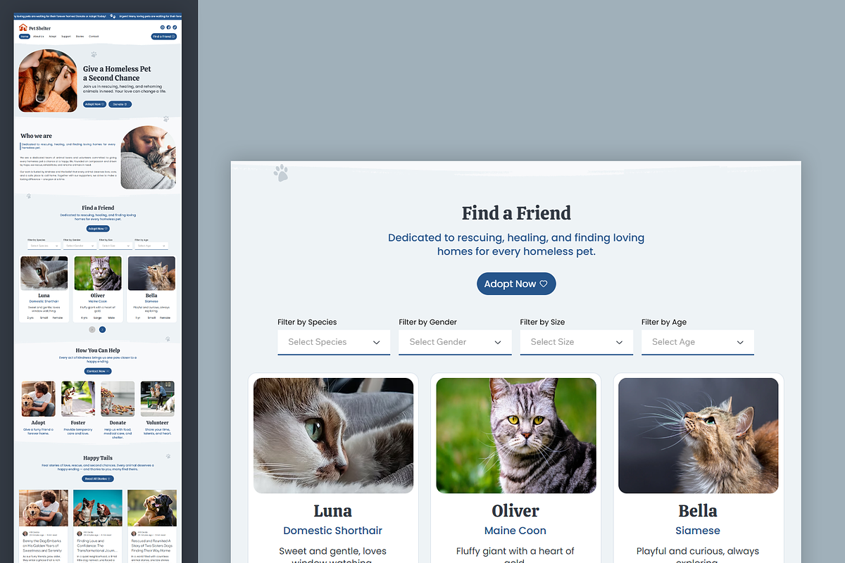 Pet Shelter - Wix Studio Website preview 2
