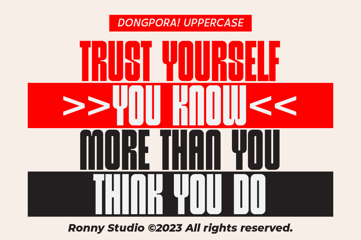 Dongpora Bold & Condensed Sans Serif, a Sans Serif Font by Ronny Studio (Photo 6 of 9)
