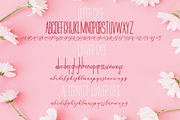 Andeglei, a Script Font by Letter-P (Thumbnail 15 of 17)