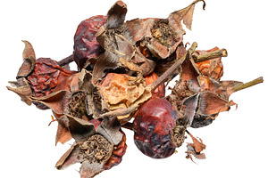 A bunch of dried rose hips on an isolated background, a Food & Drink Photo by ndanko